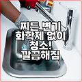 찌든 변기 화학제 없이 청소! 깔끔해짐