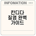 칸디다 질염: 증상과 치료법 완벽 가이드