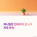 집을 미니멀하게 꾸미는 5가지 아이템