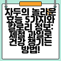 자두의 놀라운 효능 5가지와 칼로리 정보: 제철 과일로 건강 챙기는 방법!