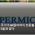 슈퍼마이크로컴퓨터(SMCI ) _60달러까지 반등 가능