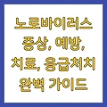 노로바이러스 증상, 예방, 치료, 응급처치 완벽 가이드