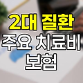 2대 질환 주요 치료비 보험 심층 분석