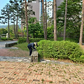 조경 화단 잡목제거
