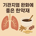 기관지염 완화에 좋은 한약재