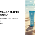 자외선 차단제 고르는 법: SPF와 PA 제대로 이해하기