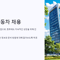 2025년 현대자동차 채용 : 일정, 모집직종