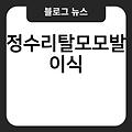 이마성형비용 정수리탈모모발이식 부산팔뚝지방흡입 고도비만수술 수원필러 20대여성탈모