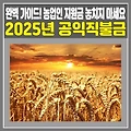 관련글 썸네일사이즈