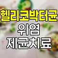 헬리코박터균 증상, 감염경로, 제균치료 총정리