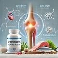 콘드로이틴(Chondroitin)이란? 관절 건강을 위한 필수 영양소