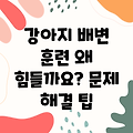 강아지 배변 훈련, 왜 힘들까요? 문제점과 근본 원인 파헤치기