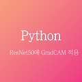 [tensorflow] ResNet50에 GradCAM 적용하기 / 코드해설 o