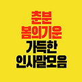 춘분 인사말 모음 Ι 봄의 기운이 넘치는 문구와 희망의 메시지