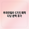 다낭 푸라마 빌라: 5가지 매력 포인트