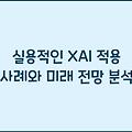 실용적인 XAI 적용 사례와 미래 전망 분석