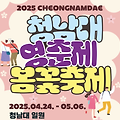 2025 청남대 영춘제 - 봄꽃 축제 가이드(개화시기, 입장료, 주차, 볼거리)