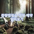 물놀이부터 바베큐까지 중랑캠핑숲에서 즐기는 캠핑 지금 바로 예약