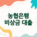 농협은행 비상금 대출 | 조건, 한도, 신청 방법 총정리