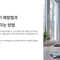 겨울철 감기 예방법과 면역력 높이는 방법