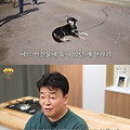 백종원, 폐건물 사면서 묶여있던 유기견 입양 "나를 만난 그 놈도 복이 있어"