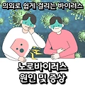 노로바이러스 원인 및 증상, 치료 대처 방법 알아보기