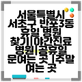 서울특별시 서초구 반포3동 휴일 병원 찾기|야간진료 병원|공휴일 문여는 곳 |주말 여는 곳
