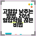 고혈압 낮추는 방법, 20년 혈압약을 끊은 비법
