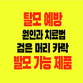 탈모 원인과 예방 치료법 검은 머리 재생을 위한 발모 가능한 방법