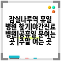 잠실나루역 휴일 병원 찾기|야간진료 병원|공휴일 문여는 곳 |주말 여는 곳