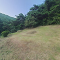 청도군 금천면 벌초 대행 후기. 벌초가격.