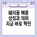 돼지가 나오는 꿈의 해석과 상징