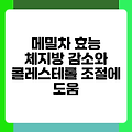 메밀차 효능 체지방 감소와 콜레스테롤 조절에 도움