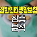 신한인터넷암보험, 온라인 전용 암보장 상품 심층 분석