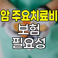 암 주요치료비 보험, 현대 의료 환경의 필수 안전망