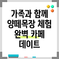 가평 양떼목장과 카페에서 즐기는 완벽한 가족 데이트