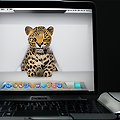 Leopard Snow Leopard 비교 : Mac OS X의 두 버전 간 차이점