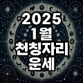 2025년 1월 천칭자리 운세(사랑 연애 학업 직업 숫자)