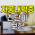 MG손해보험 자궁내막증 진단비 보험 특약 분석