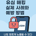 유심 해킹 실제 사례와 예방 방법 – 나도 모르게 노출될 수 있다