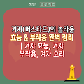 겨자(머스타드)의 놀라운 효능 & 부작용 완벽 정리 | 겨자 효능, 겨자 부작용, 겨자 요리