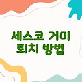 세스코 거미 퇴치 방법 - 네이버 지식iN 및 FAQ 정보