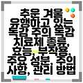 추운 겨울 유행하고 있는 독감 주의 독감 치료제 종류, 효능, 부작용, 주요 성분, 주의 사항, 관리 방법