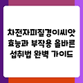 차전자피질경이씨앗 효능과 부작용 올바른 섭취법 완벽 가이드