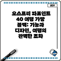 오스프리 파포인트 40 여행 가방 블랙: 기능과 디자인, 여행의 완벽한 조화