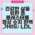 건강한 삶을 위한 총 콜레스테롤 정상 수치 완벽 가이드: LDL