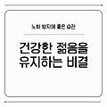 노화 방지에 좋은 습관 5가지: 건강한 젊음을 유지하는 비결