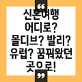 신혼여행의 꿈을 현실로! 몰디브, 발리, 유럽 중 어디로 떠날까요?