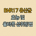 BNR17 유산균의 효능과 올바른 섭취방법 및 부작용