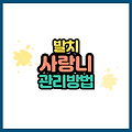 사랑니 발치 후 관리방법 저처럼 고생하지 않으려면 꼭 읽어보세요